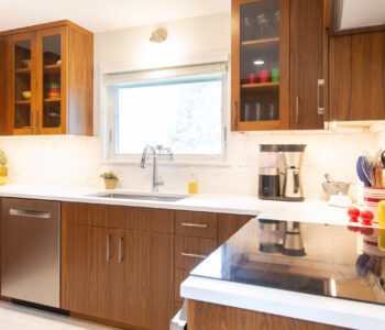 MHC LJI Green Home Tour Kitchen Remodel