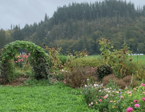 Rooted Northwest Cohousing Village